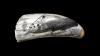 Scrimshaw art exhibit bridges Azores and New England. Where to see it