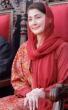 Punjab CM launches initiative to bring global specialists to public hospitals