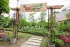 Sustainability in action: Meralco expands urban farms, plants thousands of trees