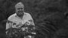 Renato Moraes de Jesus was a pioneer of Atlantic Forest restoration in Brazil