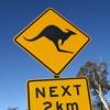 Government set to allow DBAs in opt-out collective actions