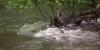 Rising creeks in Anchorage prompt flood watches