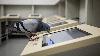 A pigeon pecking at buttons in an Iowa lab reached 68 percent accuracy on a task designed to defeat rule-based thinking, and the learning principle behind it turns out to power many of the world’s most advanced AI systems
