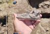 Rare Hellenistic ritual complex revealed at Gradište