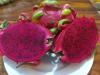 Dragon Fruit in Cambodia: A Complete Guide to the Kingdom’s Vibrant Superfruit