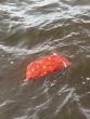 10 bodies recovered from MV Barima mishap