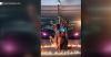 Baltimore County men arrested after allegedly using exotic animals in paid photo shoots