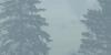 Canadian wildfire smoke reportedly affecting Lexington air quality