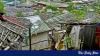 Can the new Rohingya committee move repatriation beyond promises?