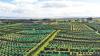 Growing Asian demand and new trade deals reshaping avocado exports