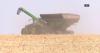 Iowa corn leaders warn of rising bankruptcies after DC meetings