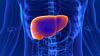 Study tests chronotype’s liver link and finds no significant association