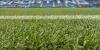 Sporting KC offers free tickets to new fans for remainder of season
