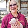 Swine & U: Preparedness! Pig farms of any size should be ready