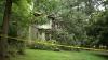 Severe weather cause flooding, tree damage in central; Flight delays at RDU
