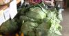 Maryland shoppers turn to local farms amid Cyclospora outbreak