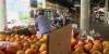 Nashville farmers market vendor reports surge in sales amid cyclospora scare