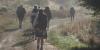 New English art tours launch on France’s extraordinary 150km trail