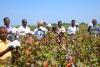 Can Ethiopia weave Africa’s complete cotton-to-clothing value chain?