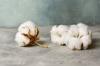 ICE cotton edges higher on weather concerns, stronger crude oil