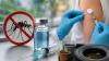Who should get India's first dengue vaccine? Doctor answers the biggest questions
