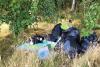 ‘Faeces of every description’: Ashton Park site of biggest ever clean up after unlawful travellers camp