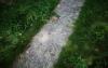 Why Denver Stopped Treating Sidewalk Repair as a DIY Project – Lessons for Other Cities and Homeowners