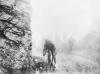 Think this year's Tour de France is hard? Don't expect any sympathy from the ghosts of 1926