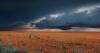 The climate shock that could reshape food costs until 2027