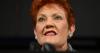 Hanson lines up candidate to sniff out by-election win