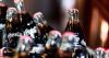 The sustainability paradox: Coca-Cola’s push to shape change