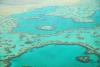 Great Barrier Reef at risk of ‘collapse’, scientists warn