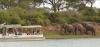 Uganda announces open National Park Days for 2026