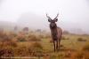 As Sri Lanka braces for El Niño, national parks are a concern amidst encroachment
