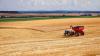 SA food inflation slows, but rising costs squeeze farmers