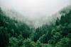 Can fashion help lead the way towards climate restoration?