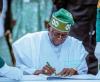 Arabinrin Aderonke: One year after tax reform laws: Tinubu’s economic foresight taking shape