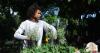 The next generation of Atlanta’s green workforce