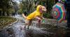 WEATHER: Cape Town rain returns as Johannesburg and Pretoria face unhealthy air