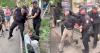 Mainstream Media Begins To Report on the Tragedy That Is Ukrainian Forced Mobilization, and How Citizens Have Started To Push Back Violently (VIDEOS)