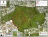 Cabinet Approves Plan for the Ironwood Forest, Linford Pierson Highway