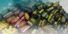 Consumer Protection Authority seizes nearly 53,000 non-compliant tobacco products in South Al Sharqiyah