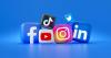France Nears Under-15 Social Media Ban