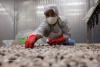 Vietnam steps up export to achieve USD-550-billion target