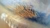Portuguese scientists study Martian clouds to help future landings