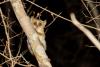 10 Night Hikes That Will Make Your Skin Crawl