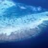Great Barrier Reef at risk of ‘collapse,’ scientists warn