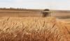 What is the “Moldovan Milei” government offering Moldova’s agribusiness sector?