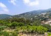 UN offers grants of up to $35k to Lebanese agri co-ops