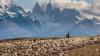 More than mountains: the human story of Chilean Patagonia told through these award-winning photos